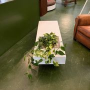 1970s jardinière table in white formica made by Roche Bobois.