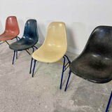 Lot of 4 Eames DSS chairs in fibre H Miller