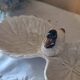 Duck slip serving dish