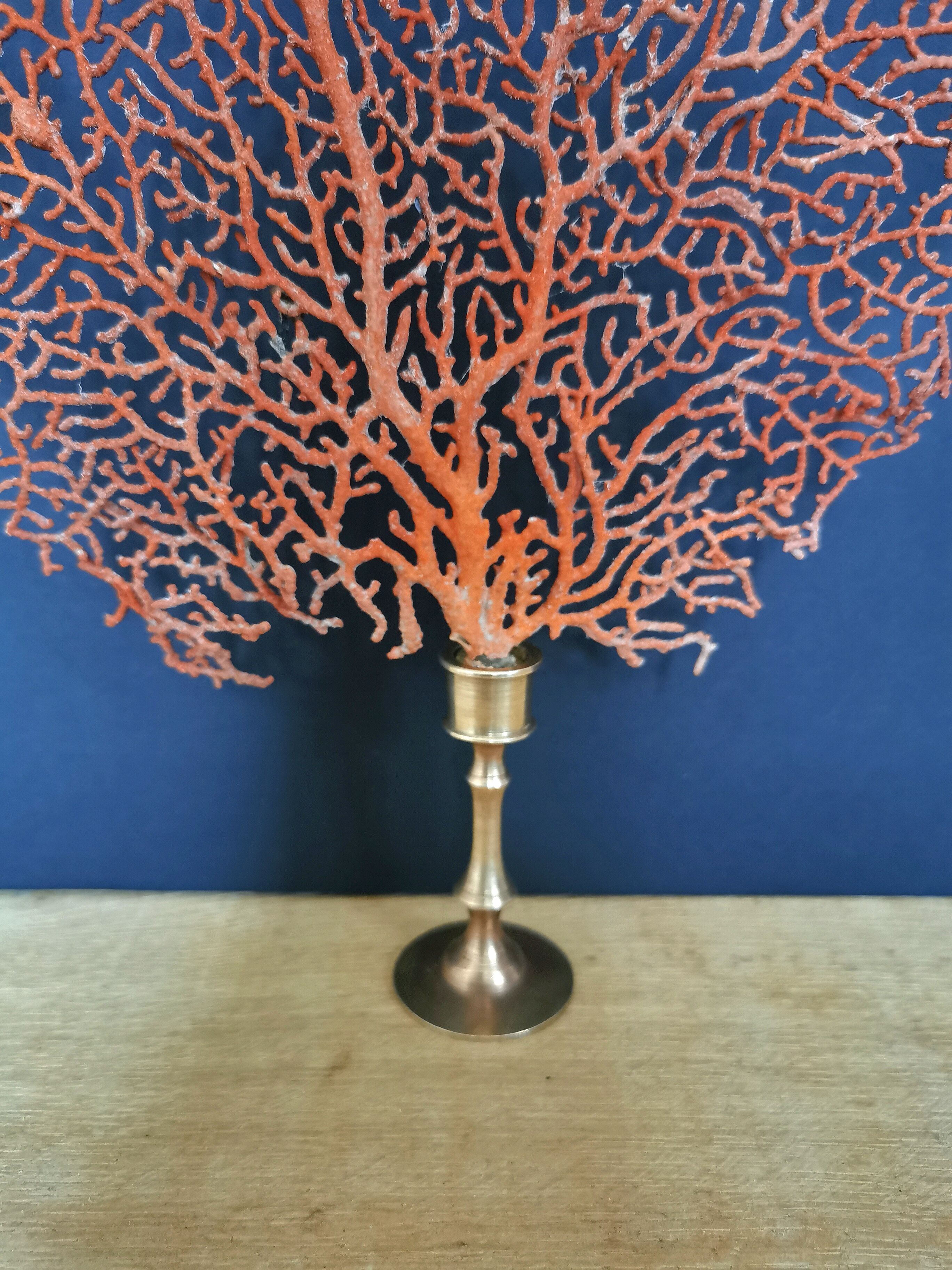 Gorgon Rouge, Brass base (Early XXth) 33*23 cm