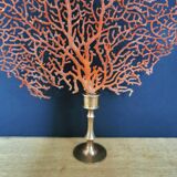 Gorgon Rouge, Brass base (Early XXth) 33*23 cm