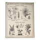 Old school poster vintage botanical poster