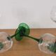 Set of 4 old green-stemmed wine glasses from Alsace Engraved vine decoration ARC cristal