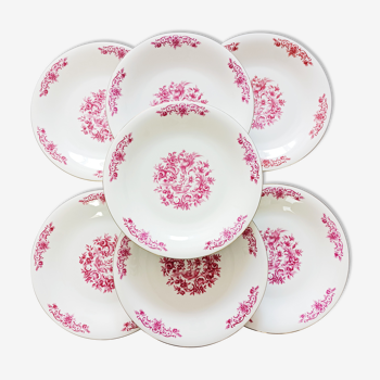 7 assiettes plates fleuries Bavaria