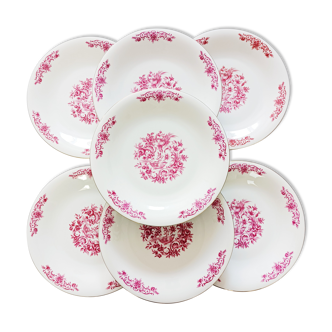7 assiettes plates fleuries Bavaria