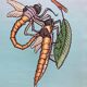 Rouleau d'Illustration libellule