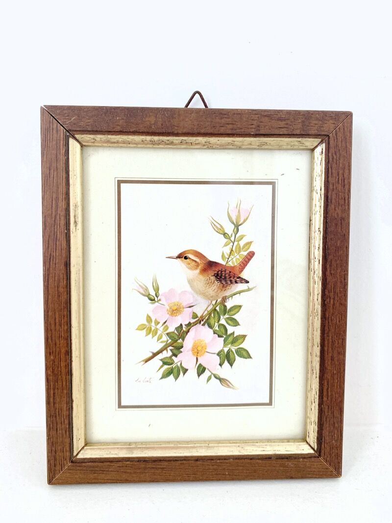 Set of three ornithological frames