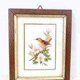 Set of three ornithological frames