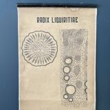 Vintage botanical poster wall board 1970's hand made pharmaceutical university