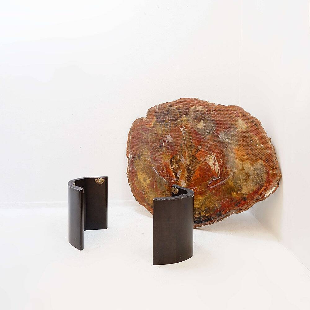 Red petrified wood coffee table from Arizona: 114x88cm