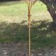 Vintage floor lamp in gilded brass with 5 glass tulips from the 50s