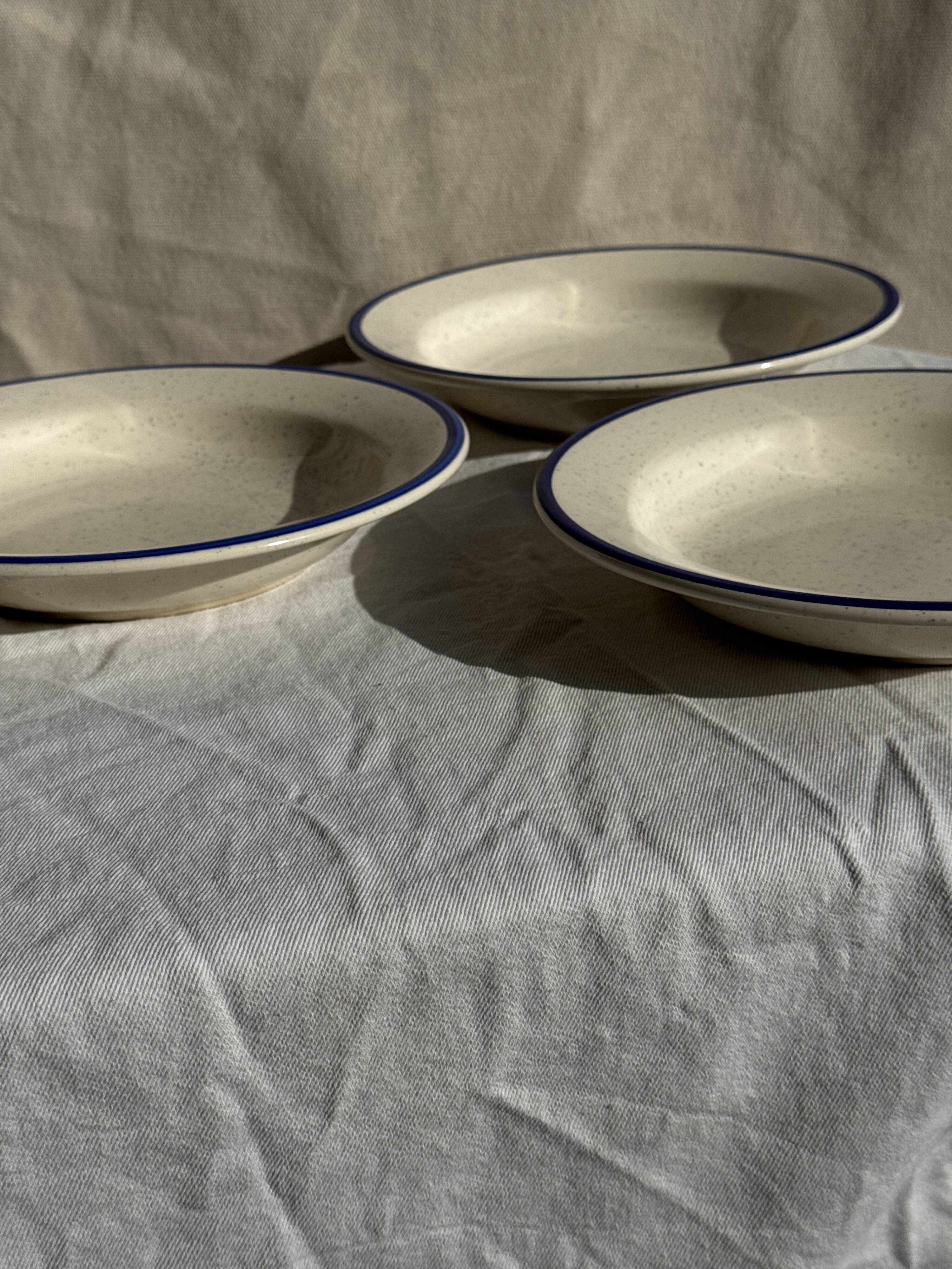 Set consisting of 6 beige flat plates with a blue rim + 3 deep plates.