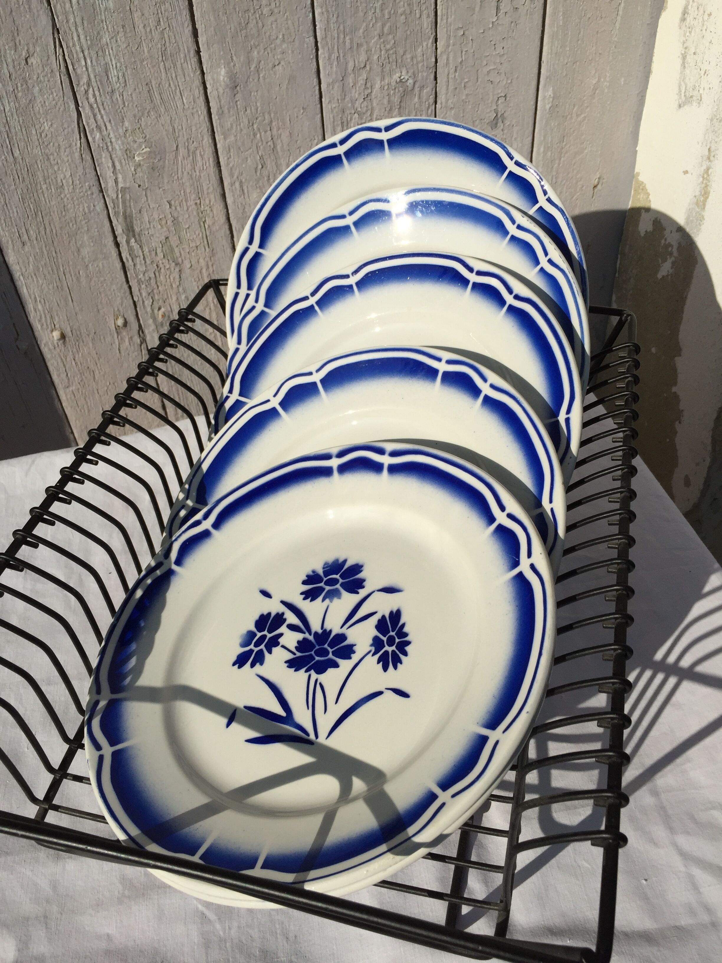 6 old plates on the ground "blue flowers"