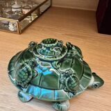 Turtle collection