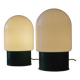 Pair of industrial lamps