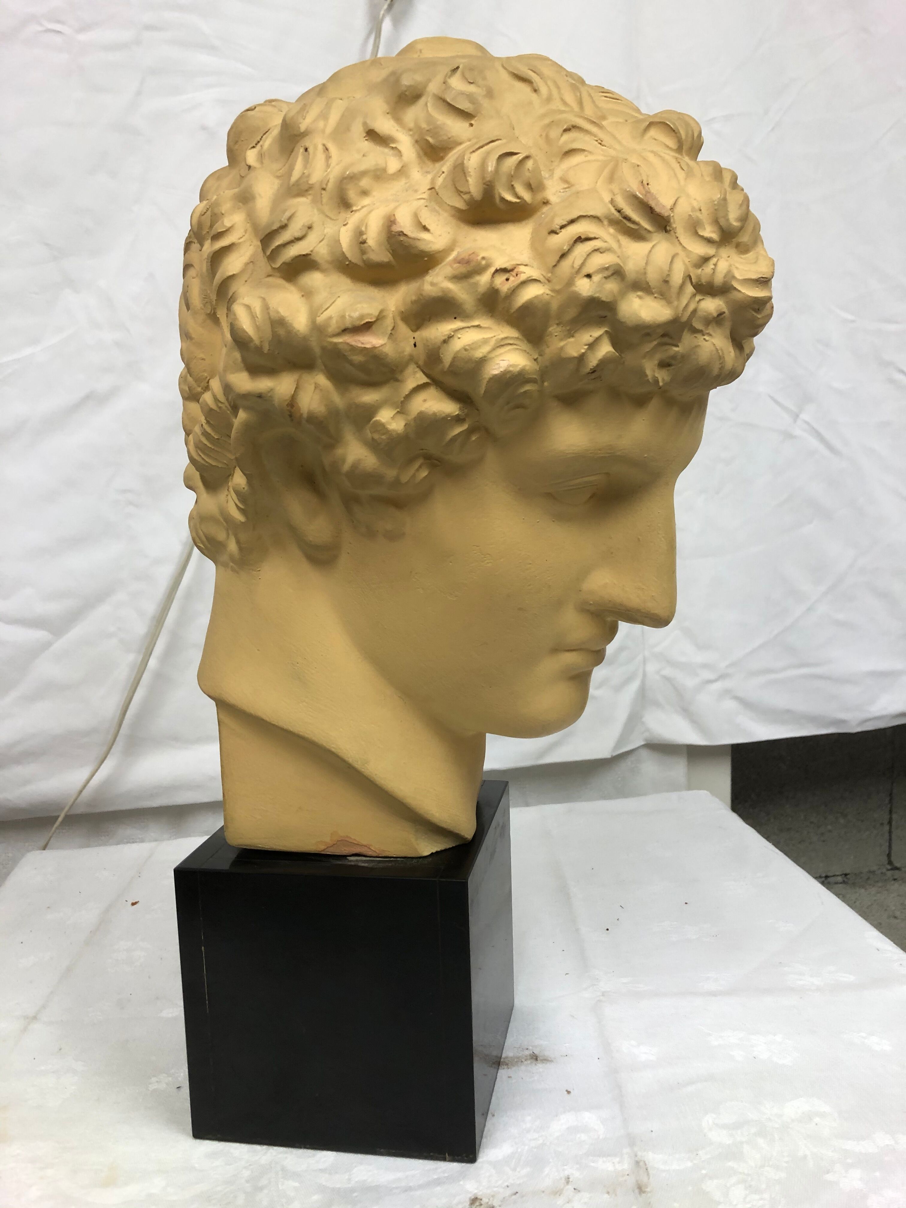 Tête de romain antique des années 70