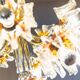 Chandelier Carlo Nason for Mazzega - Murano flower lampshade - Hollywood Regency - 1970s