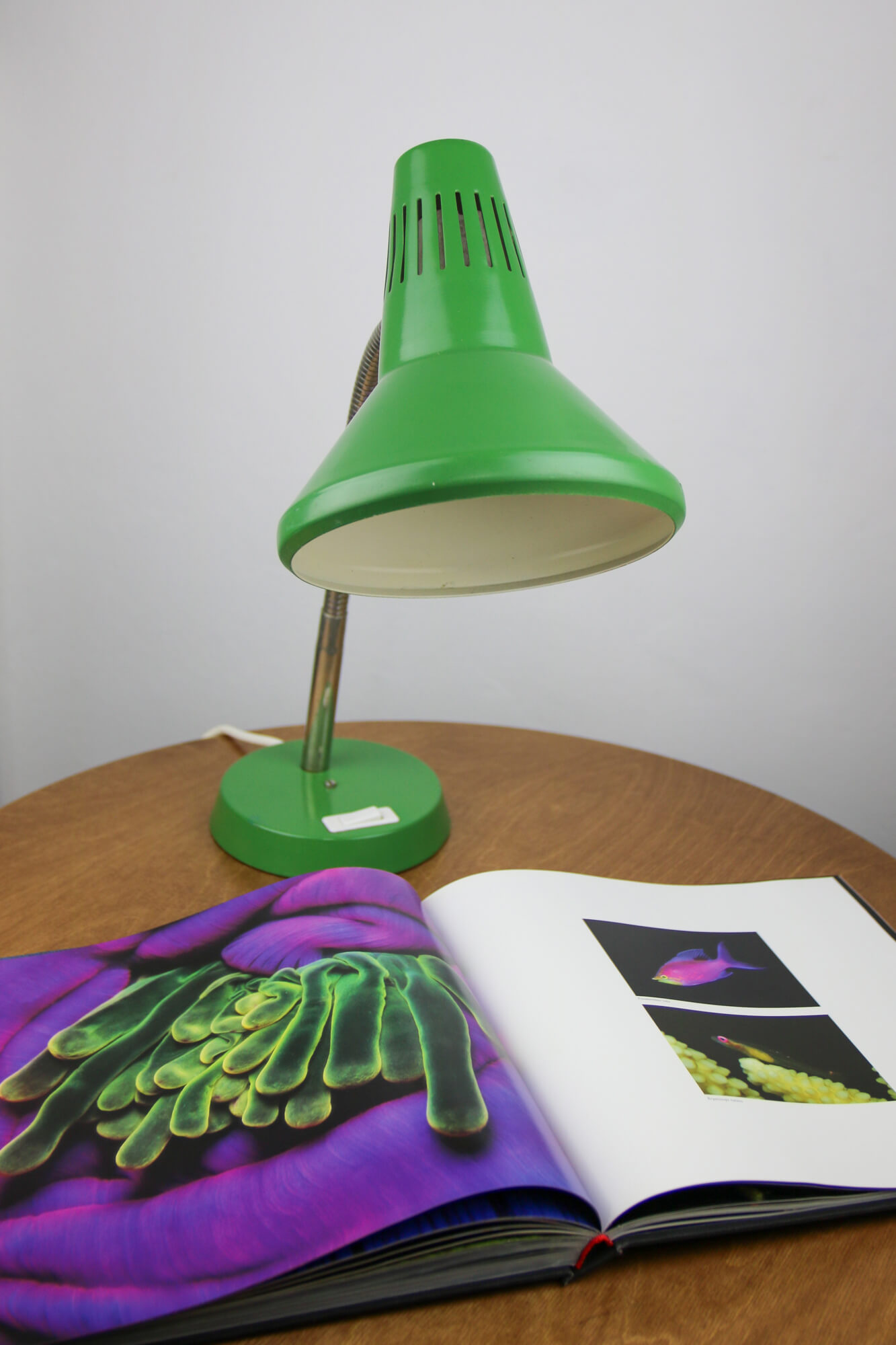 Adjustable Desk Lamp in Green Painted Metal and Chrome-Plated Spiral Arm from TEP, 1970s