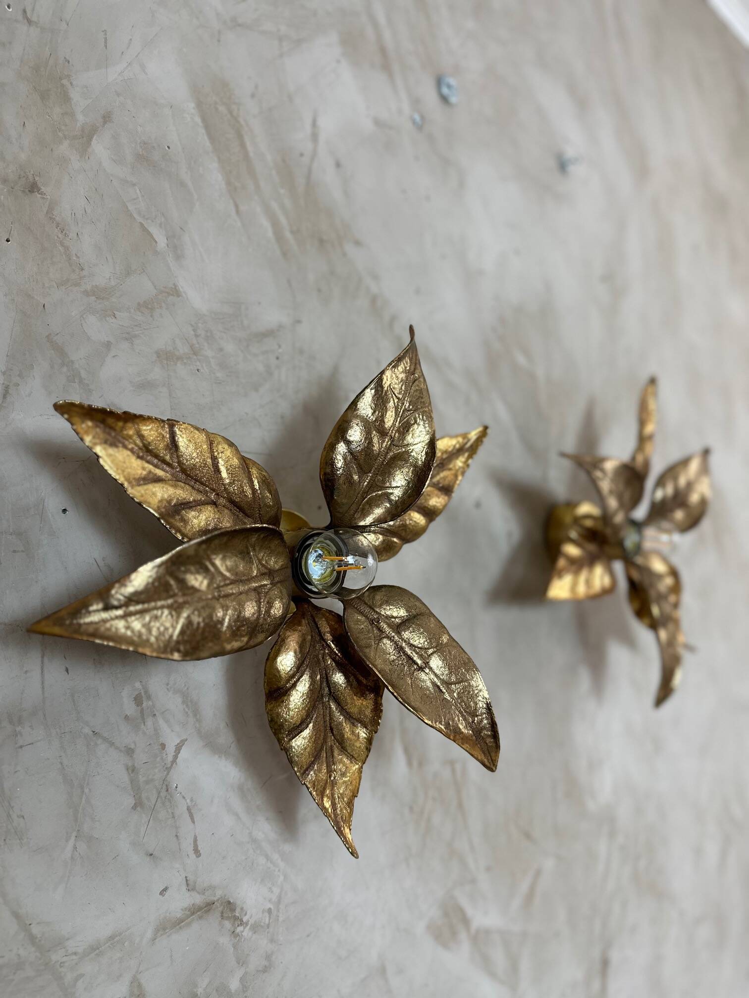 Pair of wall sconces by Willy Daro