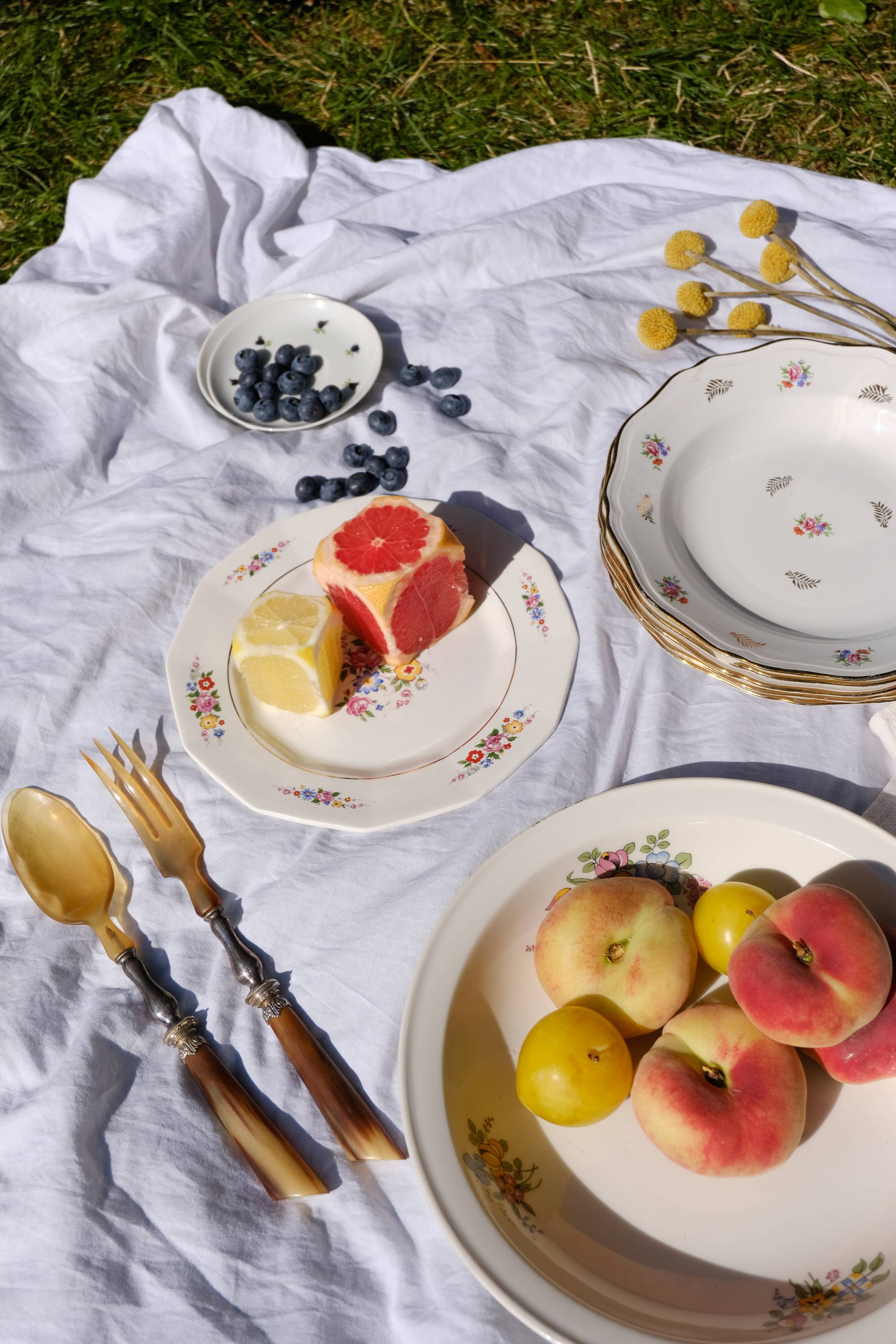 Flat plate porcelain Ceranord