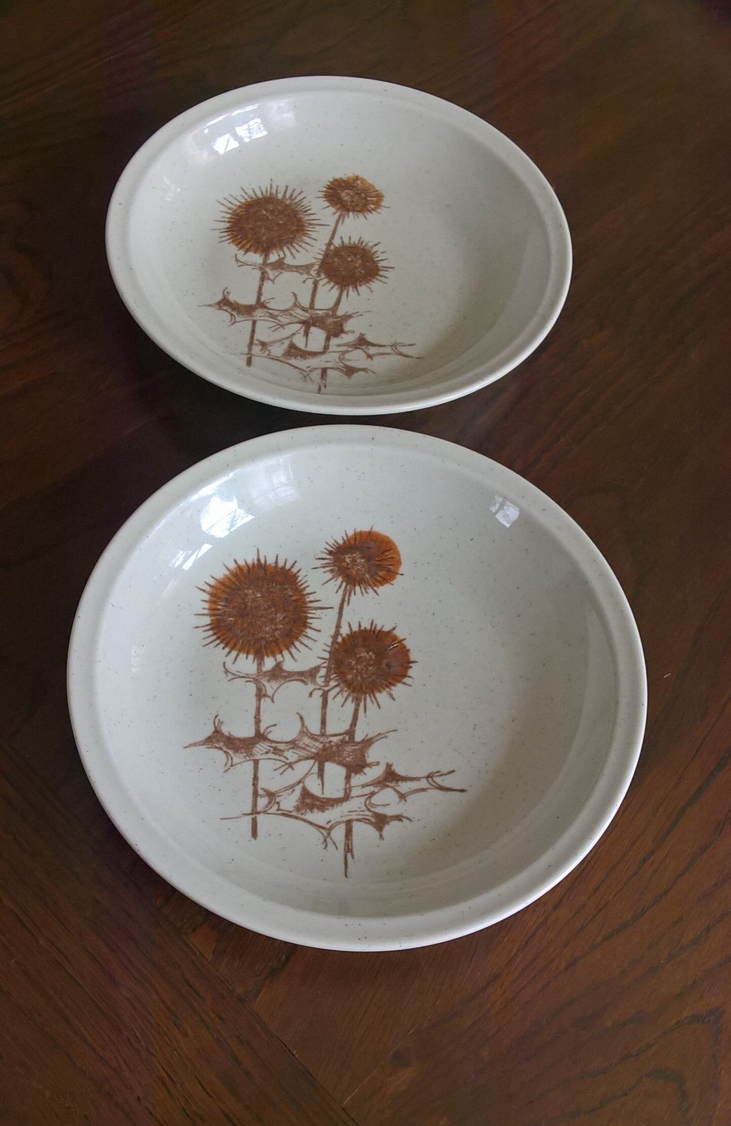 Lot de 2 assiettes creuses Sarreguemines "Chardons"