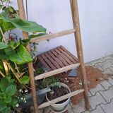 Vintage wooden picking ladder 7 rungs
