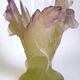 Daum vase from the Iris collection in crystal and glass paste