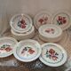 26 assiettes Digoin Sarreguemines