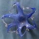 Morano glass "Starfish" trinket dish