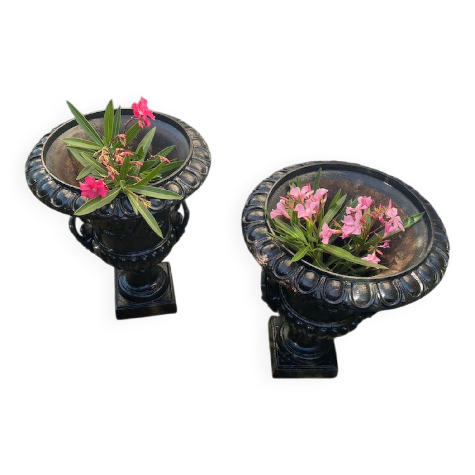 Vases Médicis XXème siècle