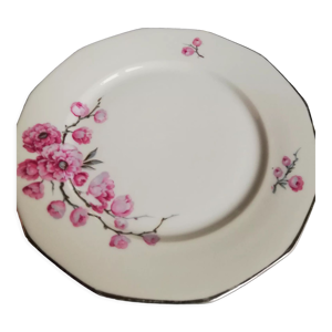 lot de 8 assiettes procelaines