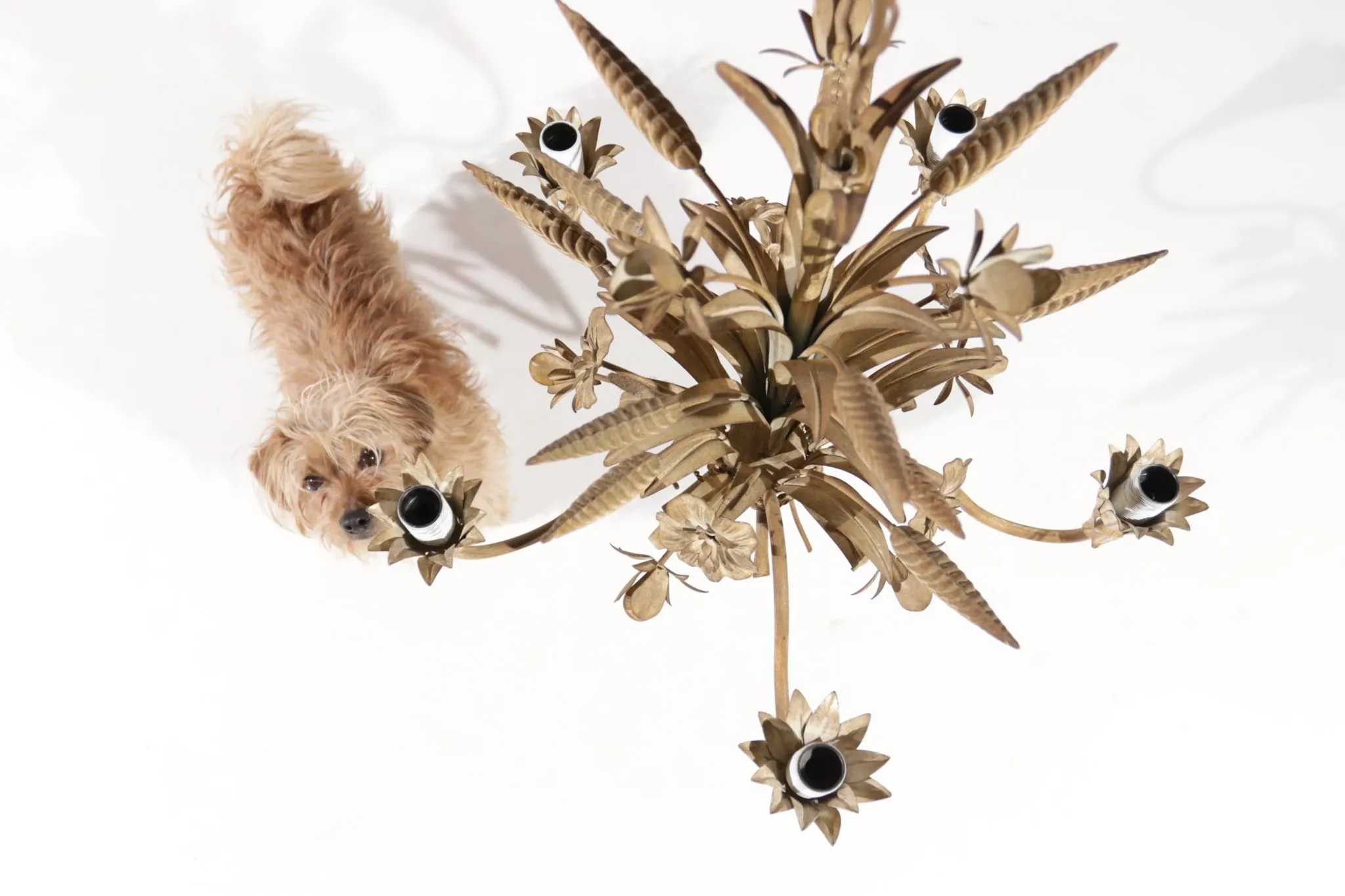 Sheaf of wheat chandelier beige Hans Kögl – Maison Charles style