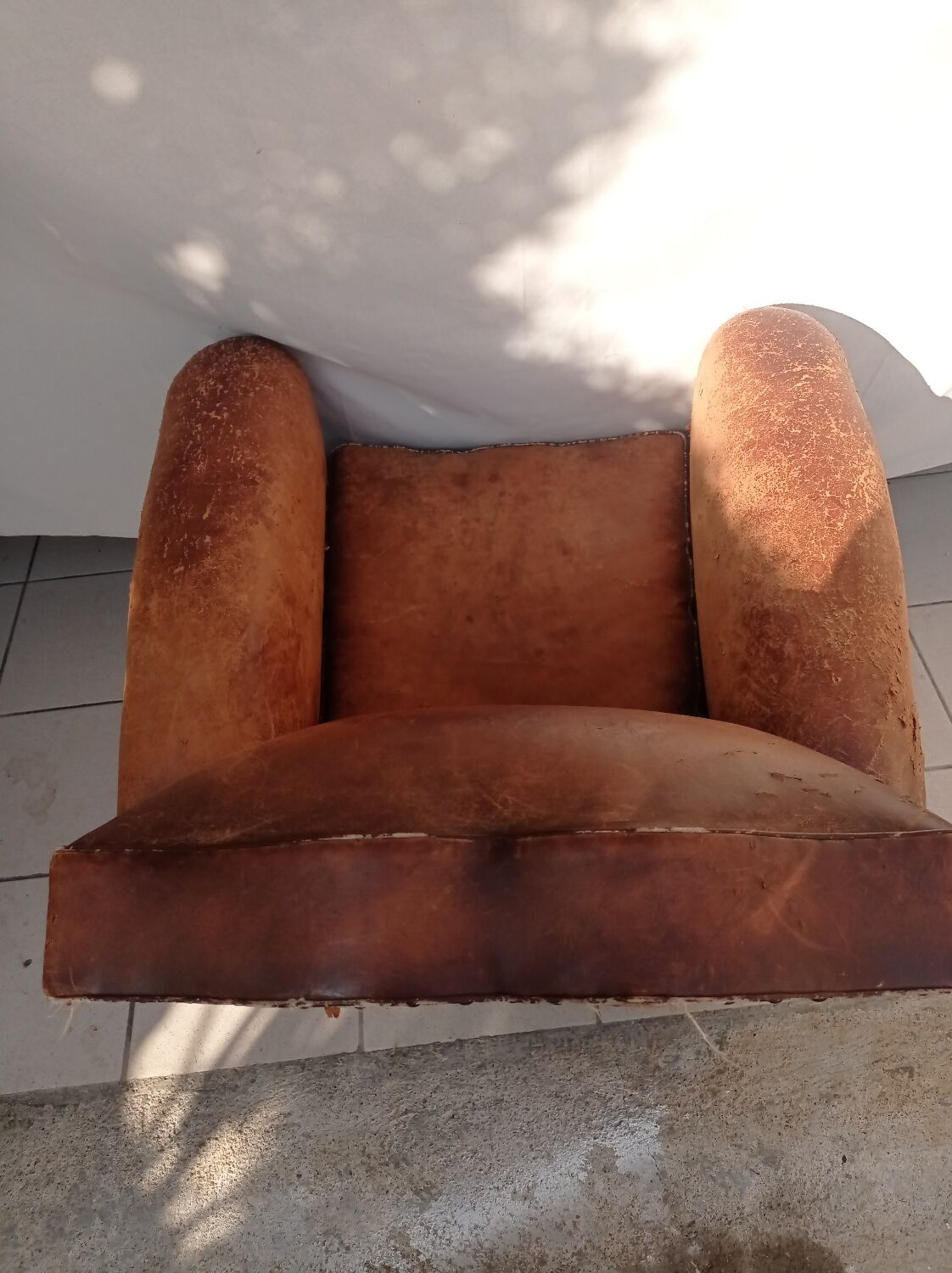 Club mustache chair