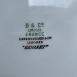 Bernardaud plates