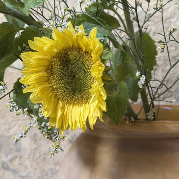 Small jar from Biot
