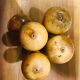 Lot 4 old wooden bowling and their ball