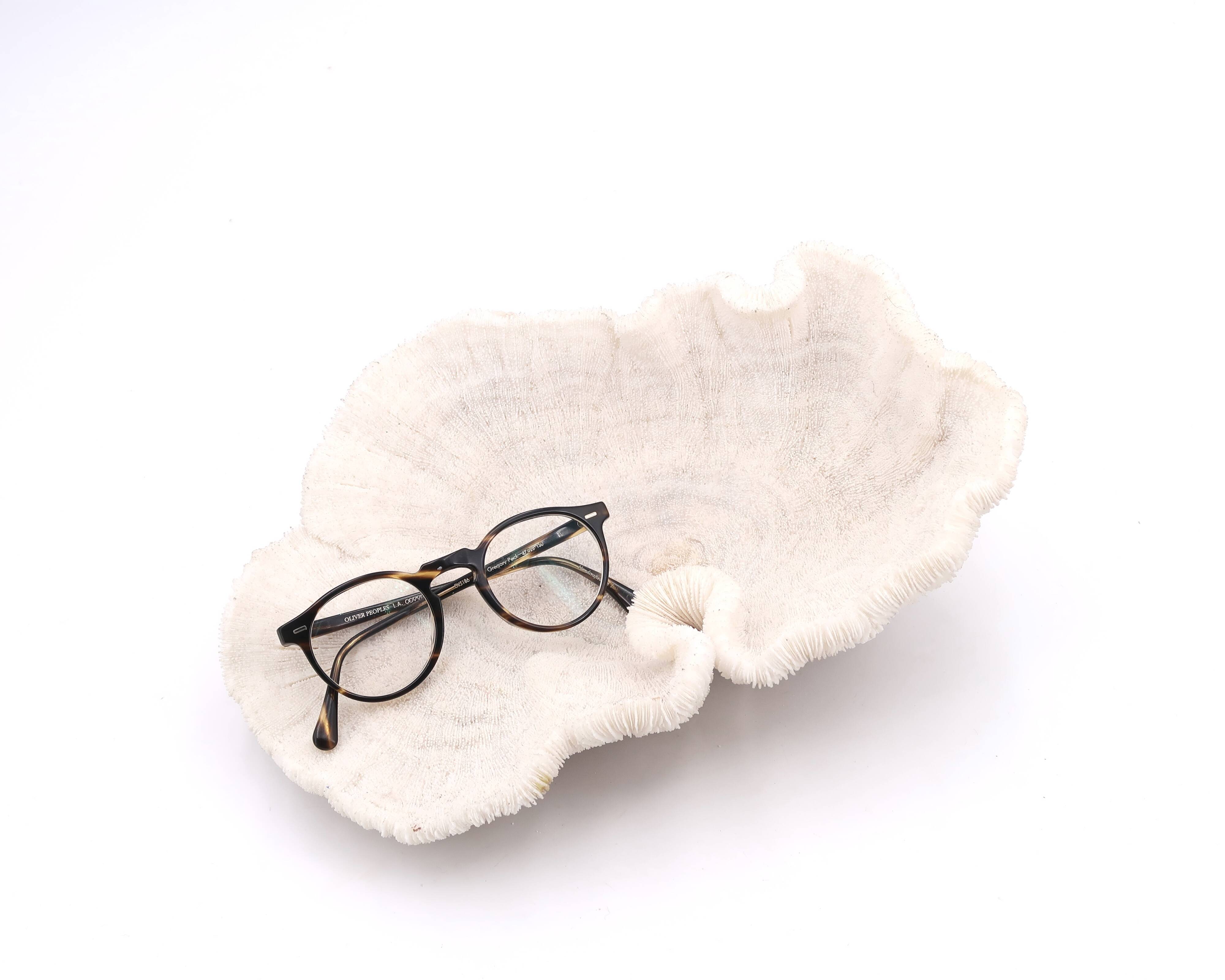 white coral empty pocket shape, cabinet of curiosities, 70s