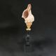 Sea snail shell Fasciolaria Trapezium on a turned wooden base