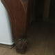 Armoire lorraine