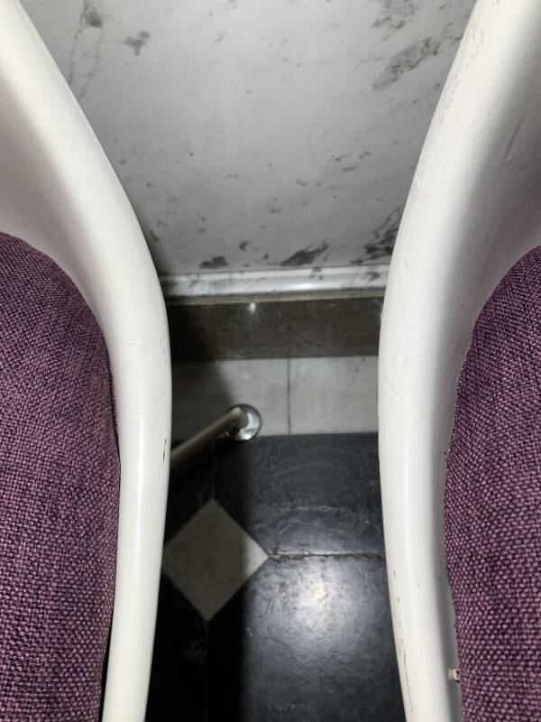 Pair of swivel "Tulip" chairs, 1960, MAURICE BURKE for ARKANA