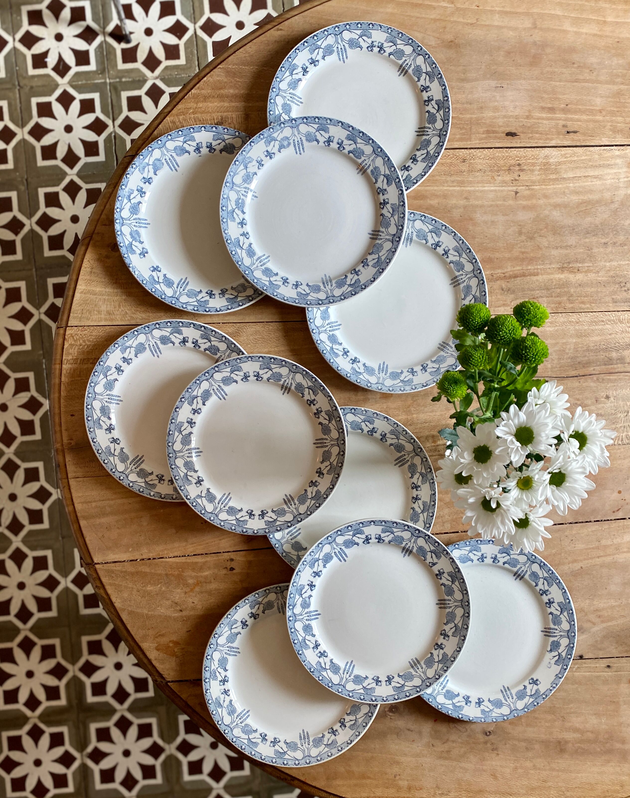 Set of 10 old flat plates in iron earth, model Noisette de Sarreguemines