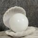 Vintage enameled ceramic table lamp in the shape of an open shell