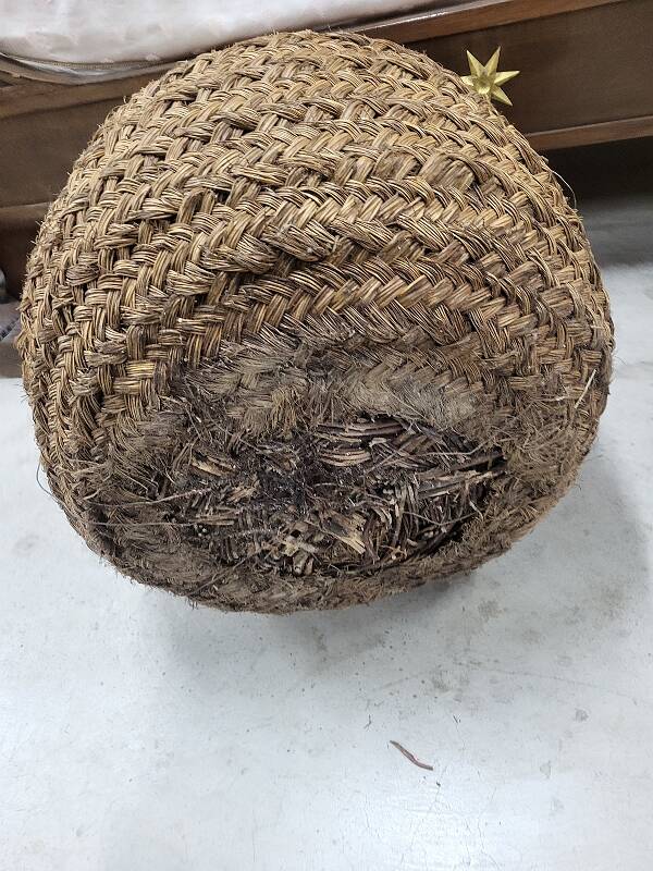 Fat dame jeanne with her braided hair