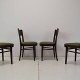 Set of Four Dinning Chairs/ Interier Praha,1950's.