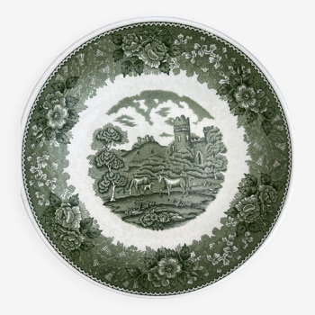 Adams plate