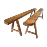 Pair of bench 19 th