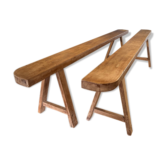 Pair of bench 19 th