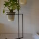 Plants rack in black iron of the 50s 60s