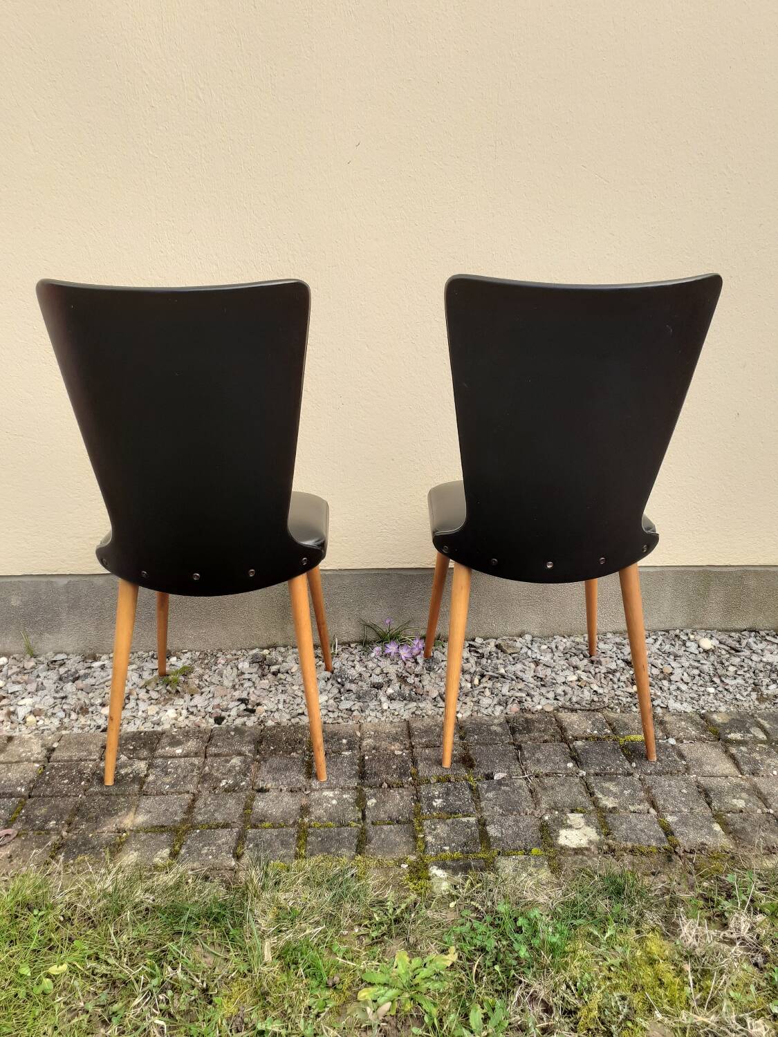 Chaises baumann essor