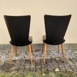 Chaises baumann essor